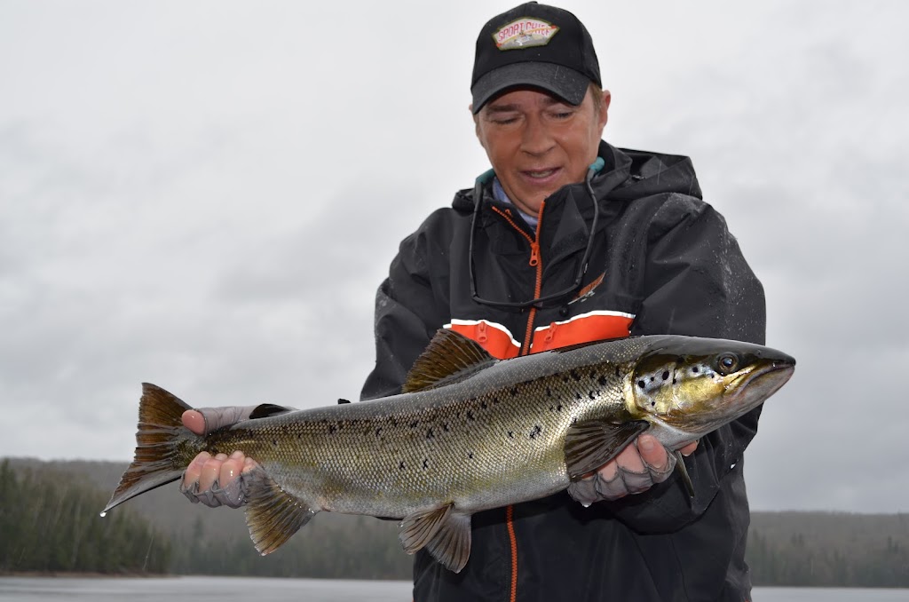 Guide de Pêche Patrick Therrien | 51 Carré, Carr Copp, Memphrémagog, QC J0B 1T0, Canada | Phone: (450) 515-6371