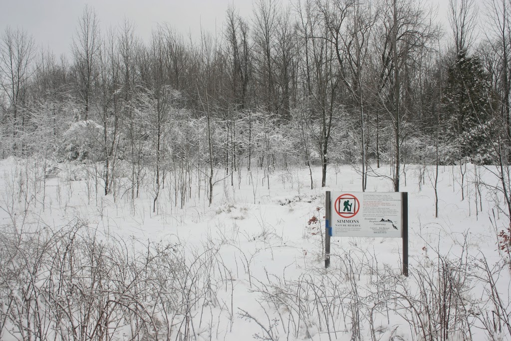 Simmons Nature Reserve | 11 Hilliard Ct, Caledon East, ON L7C 1R3, Canada | Phone: (416) 960-8121