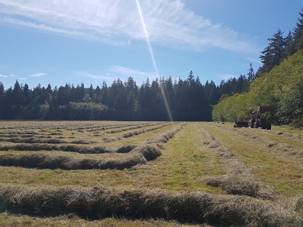 Mason Bluff Turf Farm | 6065 Mason Rd, Sechelt, BC V0N 3A8, Canada | Phone: (604) 885-4184