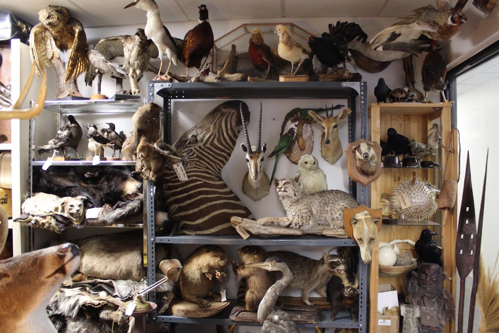 The Prop Room | 42 Industrial St, East York, ON M4G 1Y9, Canada | Phone: (416) 481-8819