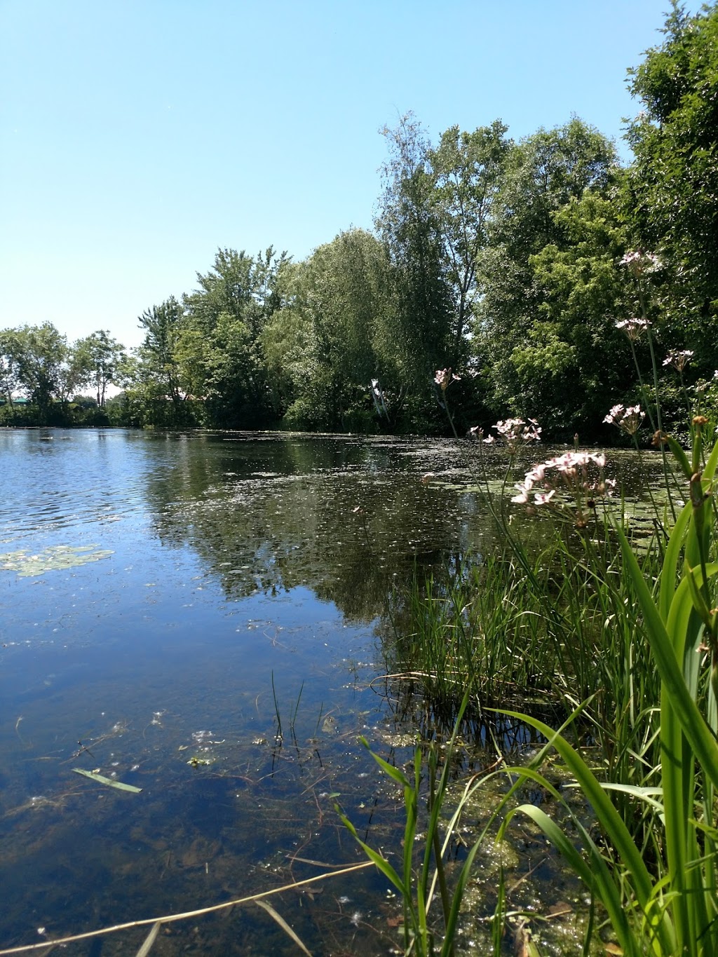 Parc du Village | 5 Rue Lakeview, Saint-Bruno-de-Montarville, QC J3V 3V1, Canada