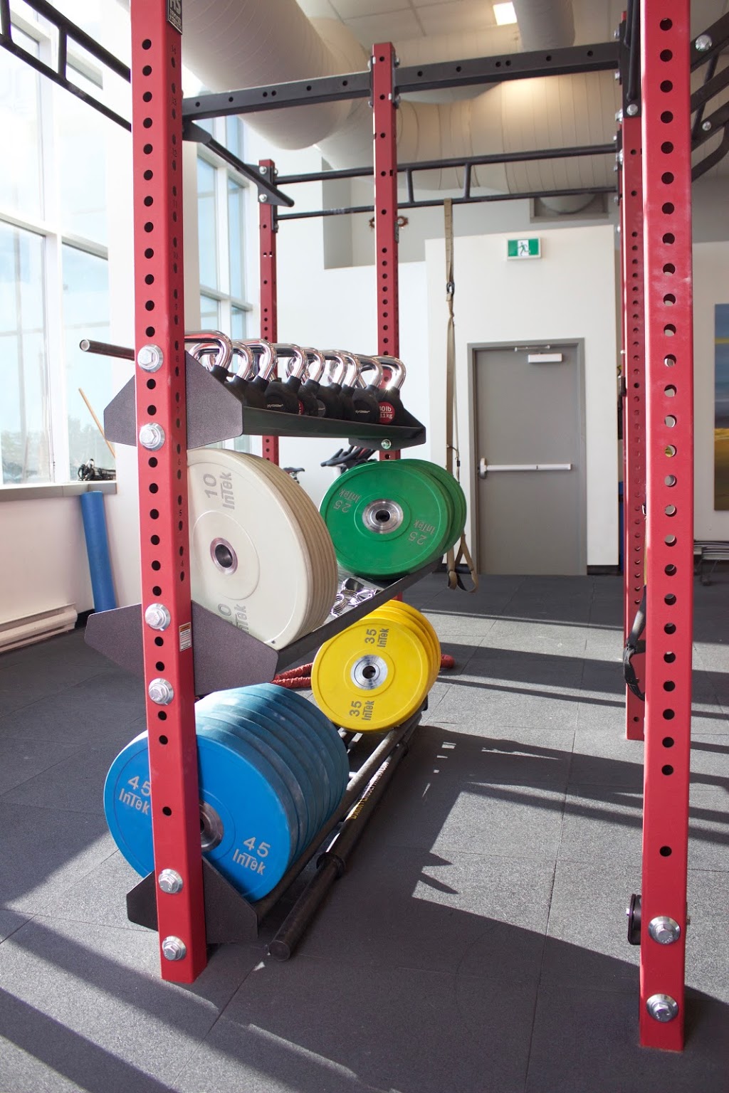 Darryl Rose Fitness | 20 Brentcliffe Rd #4, Toronto, ON M4G 0C6, Canada | Phone: (647) 393-6659