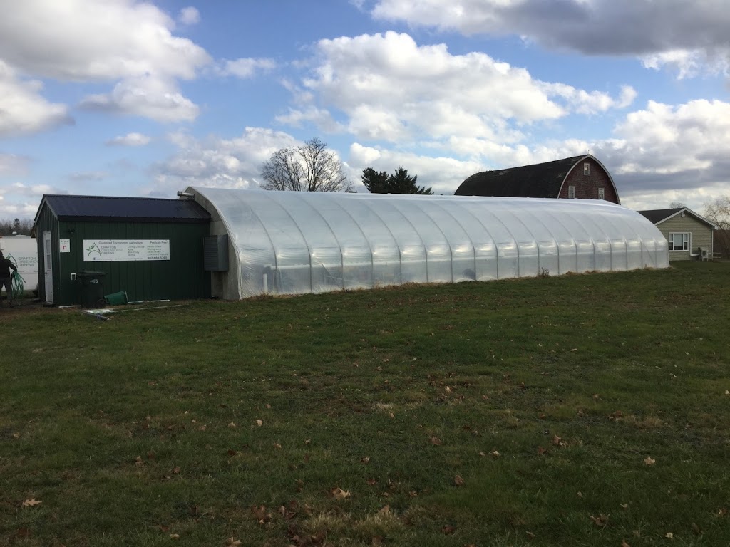 Grafton Greenhouse Greens | 2124 Black Rock Rd, Waterville, NS B0P 1V0, Canada | Phone: (902) 471-2828
