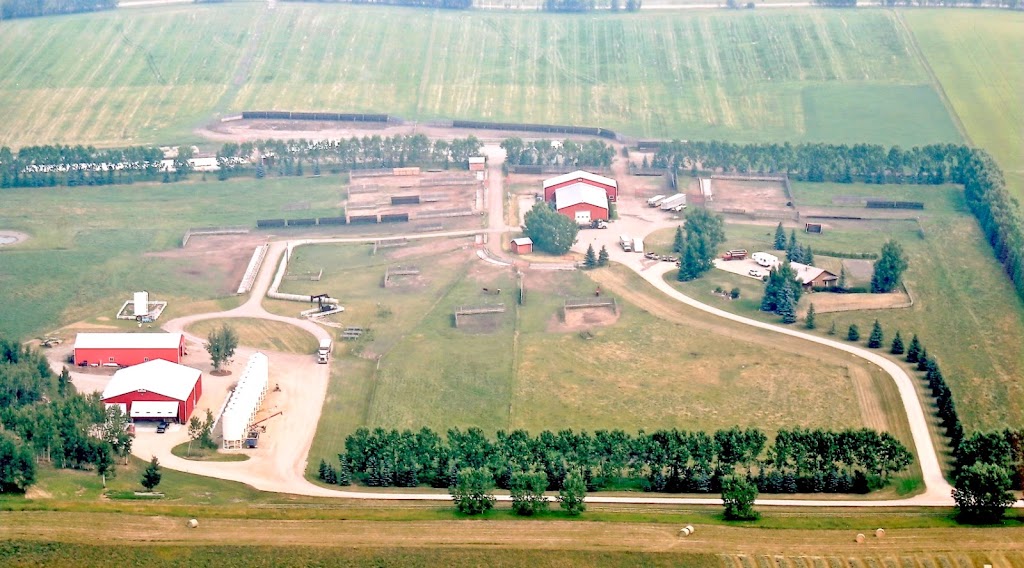 Hamilton Farms Black Angus | 274132 RGE RD 33, AB T4C 2Y2, Canada | Phone: (403) 932-5980