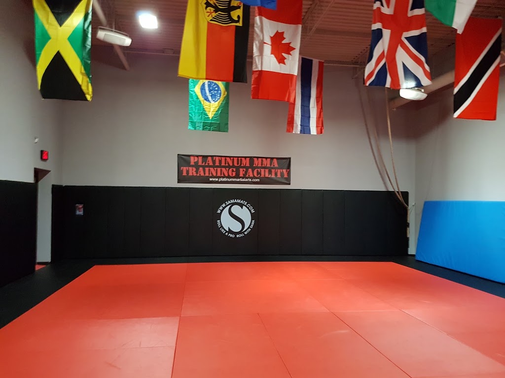 Urban Krav Maga Self Defence | 4465 Wellington Rd S, London, ON N6E 2Z8, Canada | Phone: (519) 636-0052