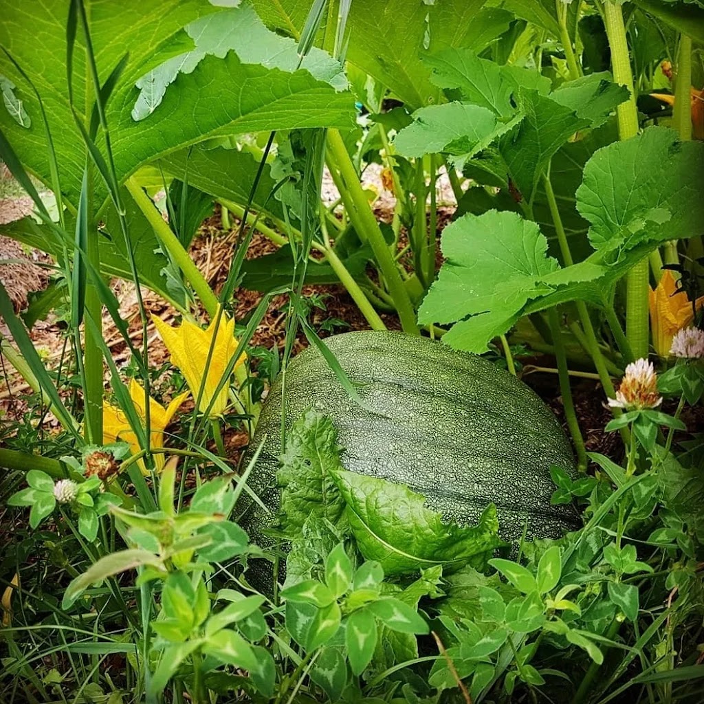 Vieux Verbal Garden | 250 Rue du Vieux Verbal, Saint-Calixte, QC J0K 1Z0, Canada | Phone: (450) 543-9835