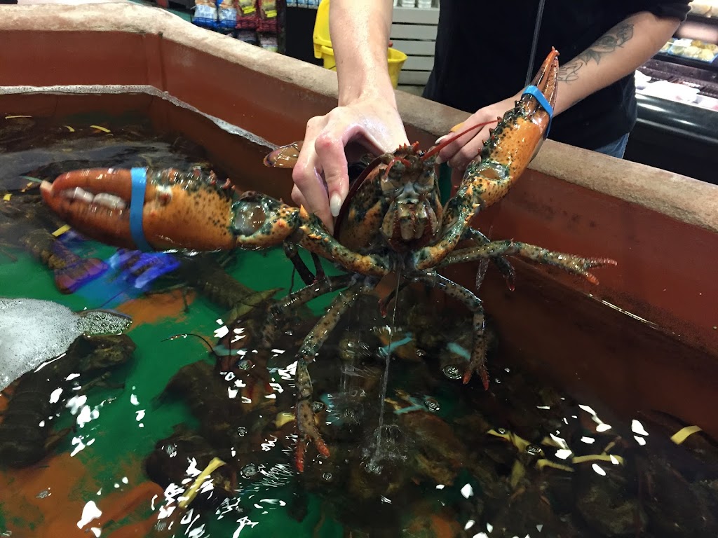 Catch Of the Bay | 10622 NS-4, Debert, NS B0M 1G0, Canada | Phone: (902) 662-2816