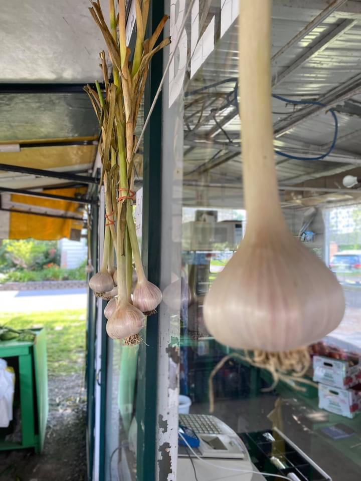 Jardin maraîcher F.Hebert | 515 Rang du Haut Corbin, Saint-Damase, QC J0H 1J0, Canada | Phone: (450) 797-2187