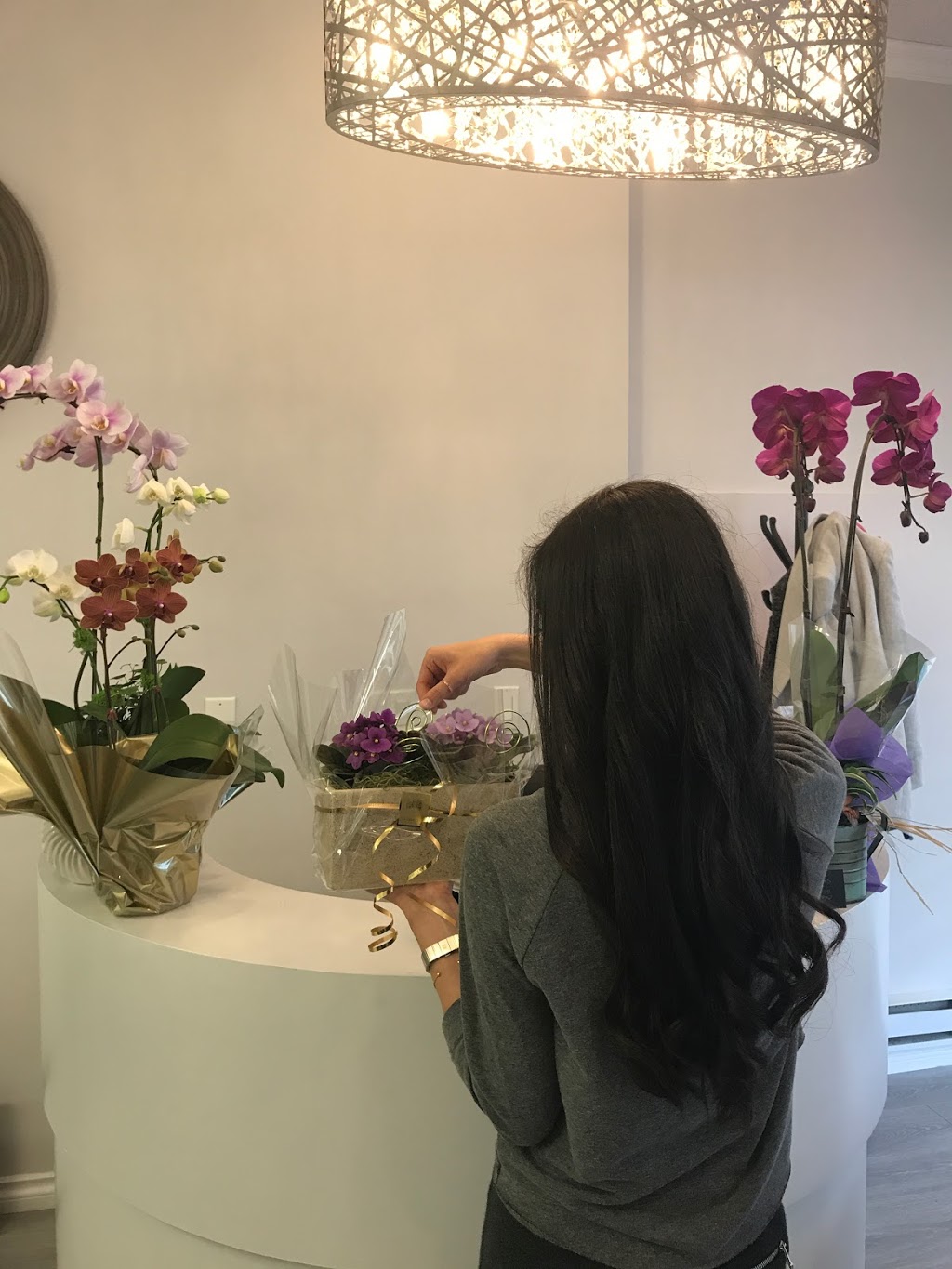 Hairology Salon & Spa -AVEDA Salon | 2226 Marine Dr, West Vancouver, BC V7V 1K4, Canada | Phone: (604) 281-2050