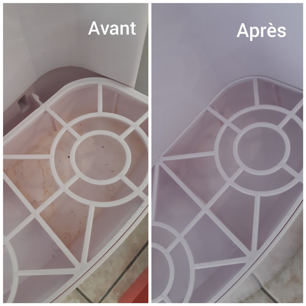 Menage tout | 7 Rue Deslauriers, Sainte-Agathe-des-Monts, QC J8C 3N7, Canada | Phone: (438) 821-5875
