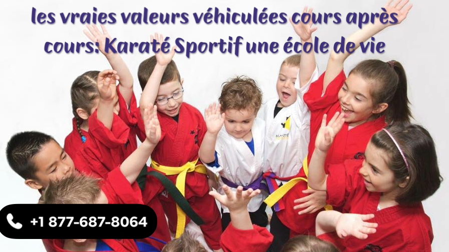 Karate Sports Auteuil/Vimont | 5290 Boulevard des Laurentides, Laval, QC H7K 2J8, Canada | Phone: (877) 687-8064