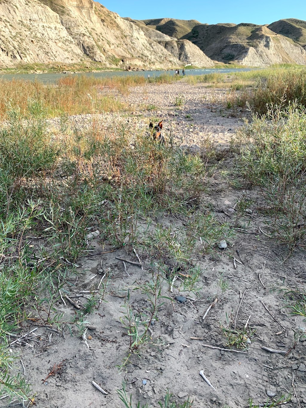 RiverStone Dog Park | Riverstone, Lethbridge, AB T1J 4S8, Canada | Phone: (403) 849-7268
