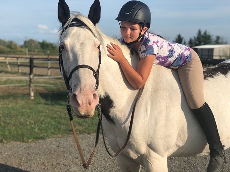 Ridgedale Equestrian (East) | 342 Kemp Rd W, Grimsby, ON L3M 4E7, Canada | Phone: (905) 979-8140