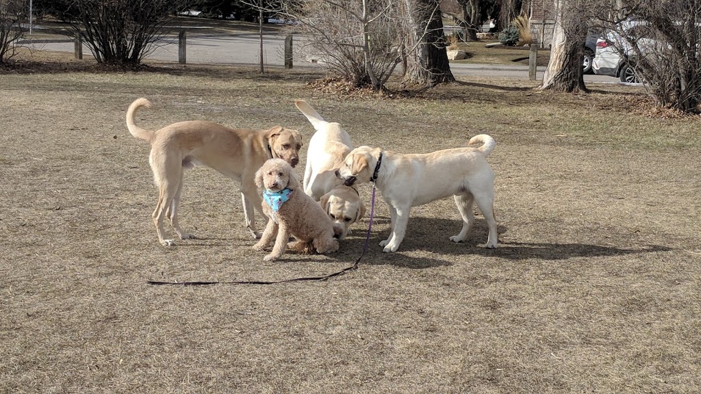 Elbow Park Off-leash Area | 3617 8 St SW, Calgary, AB T2T 3A8, Canada