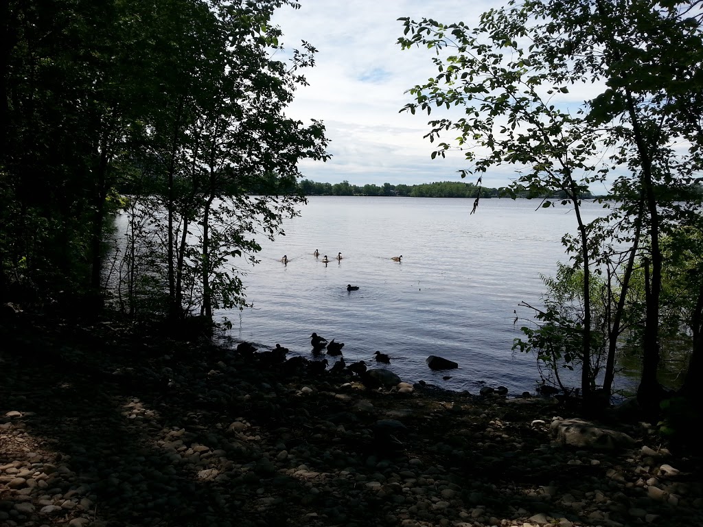 Rive-Boisee Park | Pierrefonds, Montreal, QC H8Z, Canada | Phone: (514) 872-0311
