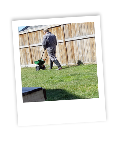 Green Guard Lawn Fertilization & Weed Control | 18380 Chaparral St SE, Calgary, AB T2X 3K9, Canada | Phone: (403) 990-0885
