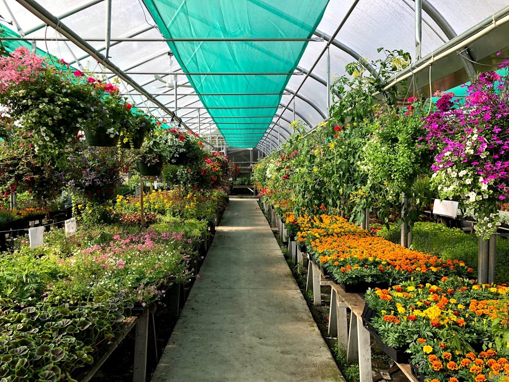Jenny S Garden Centre 4888 Marine Dr Burnaby Bc V5j 3g6 Canada