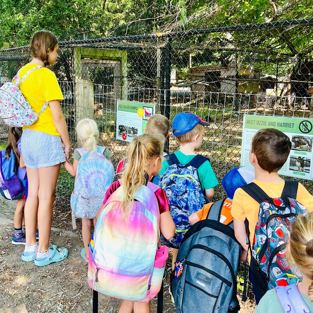 Camp Connect, Embro | 116 Kincardine St, Embro, ON N0J 1J0, Canada | Phone: (519) 535-8992