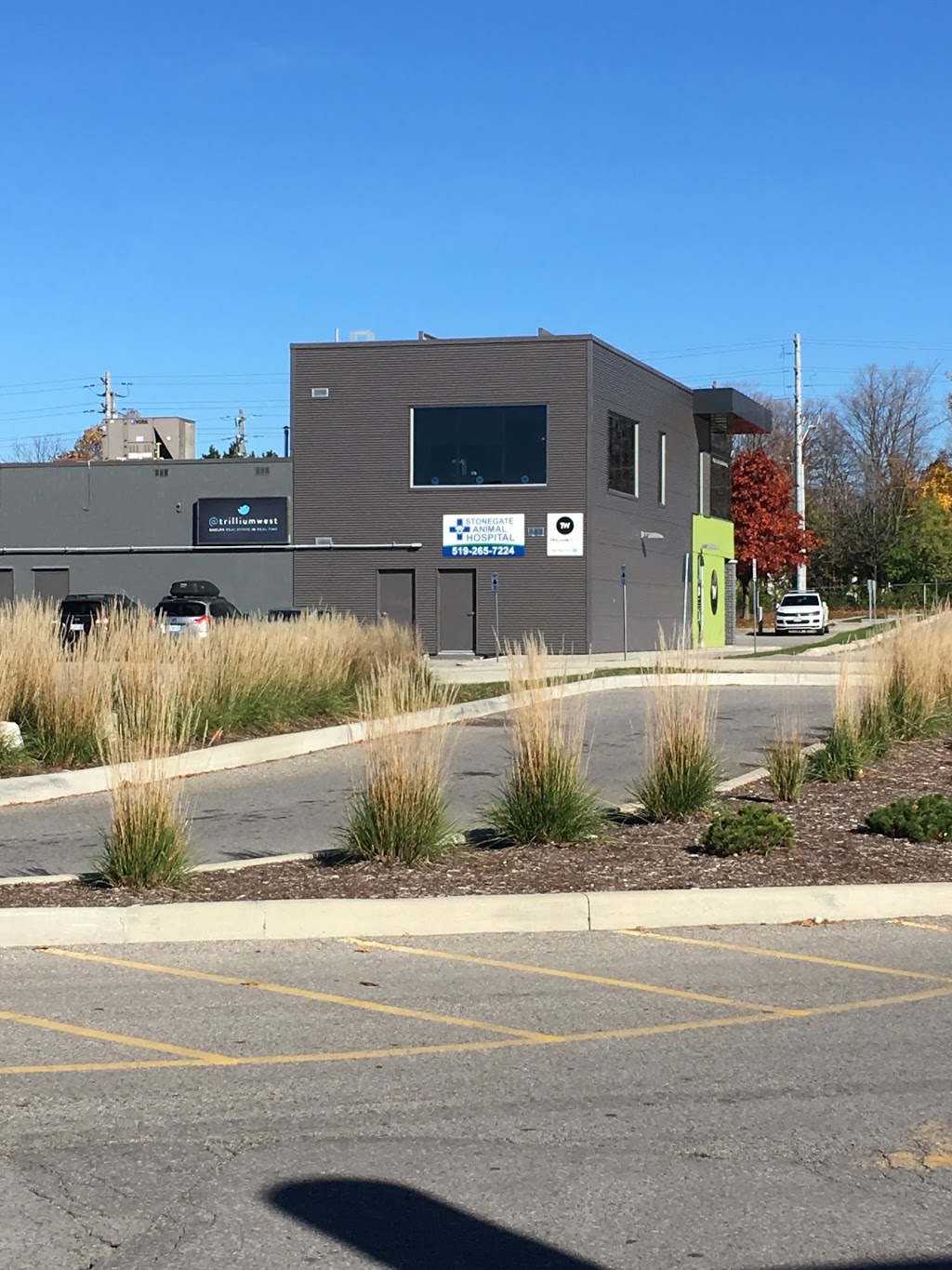 Stonegate Animal Hospital | 292 Stone Rd W, Guelph, ON N1G 4W4, Canada | Phone: (519) 265-7224