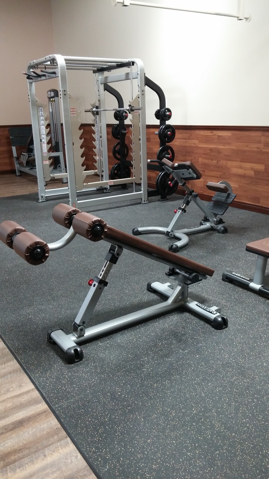 Gym At The Plex | 370 Argyle St S, Caledonia, ON N3W 2N2, Canada | Phone: (289) 960-0734