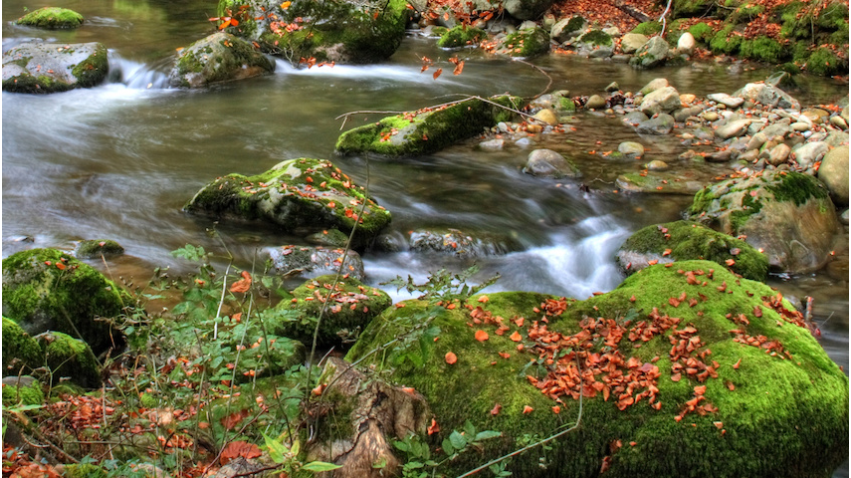 Cedar Counselling | 5132 Ladner Trunk Rd, Delta, BC V4K 5B6, Canada | Phone: (778) 825-1113