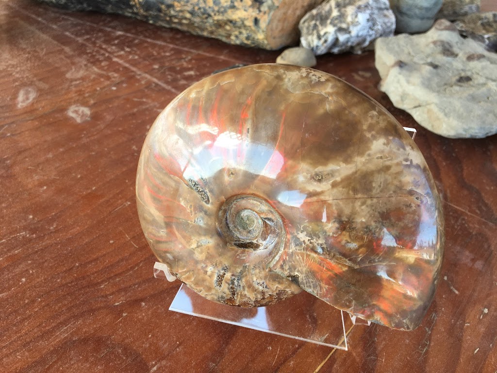 Broken Rock Fossil Shop | 1820 Garfield Rd, Belfast, PE C0A 1A0, Canada | Phone: (902) 393-2536
