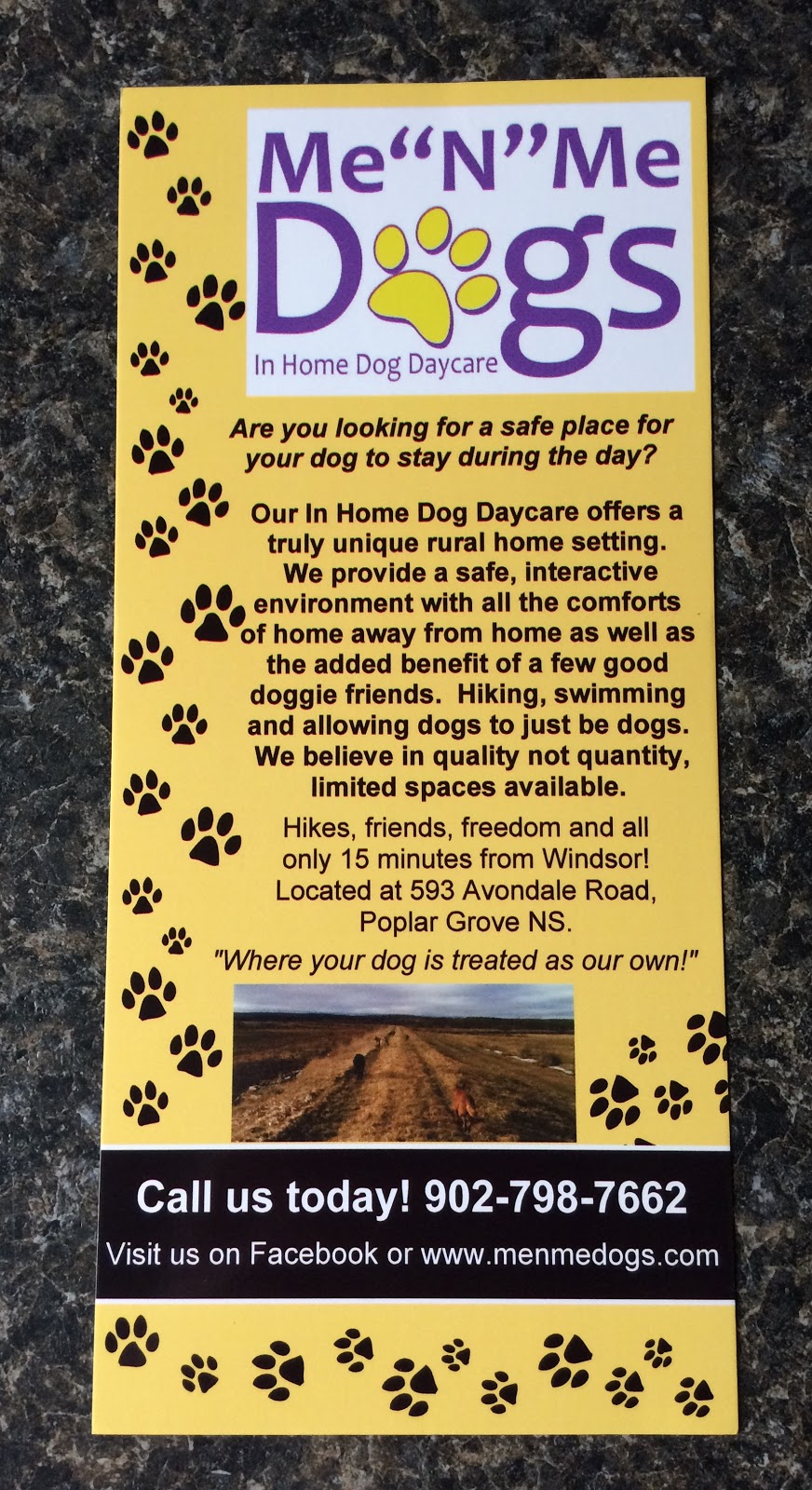 Me "N" Me Dogs | 593 Avondale Rd, Newport, NS B0N 2A0, Canada | Phone: (902) 798-7662
