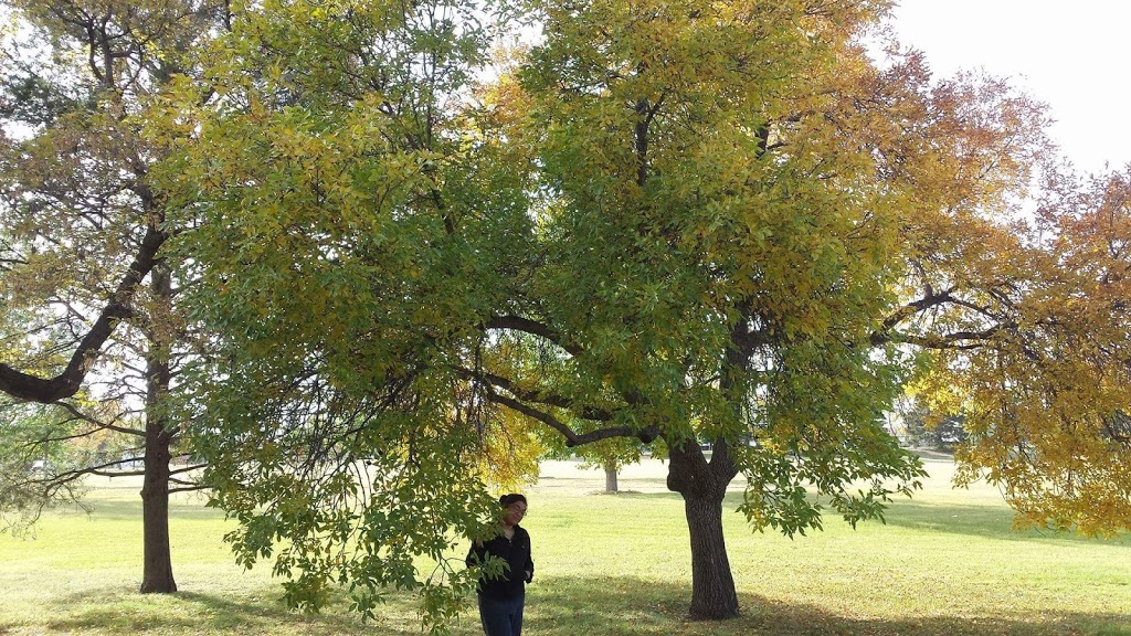 Leif Erickson Park | 306 McMillan Ave, Saskatoon, SK S7L 2T5, Canada | Phone: (306) 975-3300