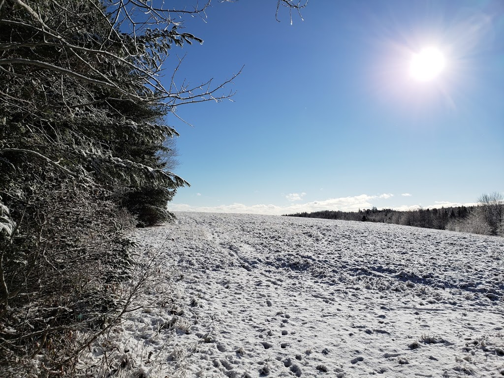 Jerry Lonecloud Trail | Trans Canada Trail, Cole Harbour, NS B2V, Canada