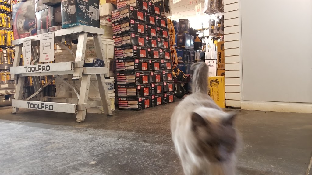 Ceiling Store Inc. | 6040 50 St NW A, Edmonton, AB T6B 3C4, Canada | Phone: (780) 465-2221
