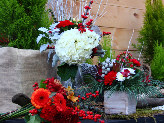 Seaberry Garden & Flower | 5325 Cordova Bay Rd, Victoria, BC V8Y 1R1, Canada | Phone: (250) 590-3777