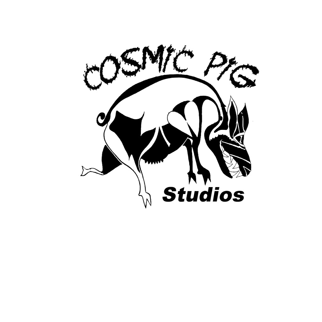 Cosmic Pig Studios Guitar Lessons | 128 Street &, 108 Ave, Surrey, BC V3V 3J2, Canada | Phone: (778) 866-4433
