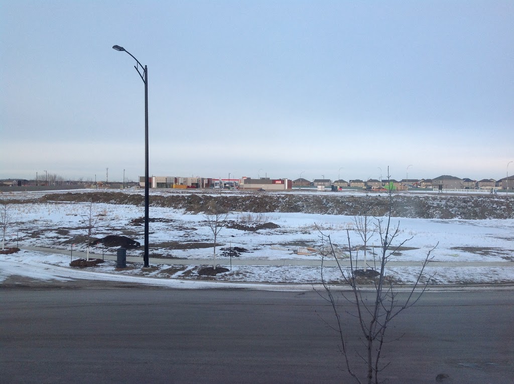 Esso | 3881 Allan Dr SW, Edmonton, AB T6W 1A4, Canada | Phone: (587) 525-3335
