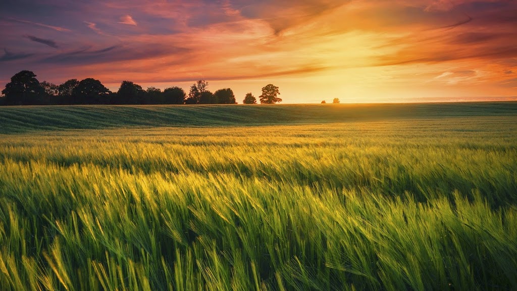 BC Farm & Ranch | 2014 Whatcom Rd, Abbotsford, BC V3G 1Y9, Canada | Phone: (604) 852-1180