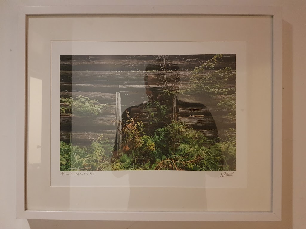 Northern Contemporary Gallery | 1605 Queen St W, Toronto, ON M6R 1A9, Canada | Phone: (416) 464-9385