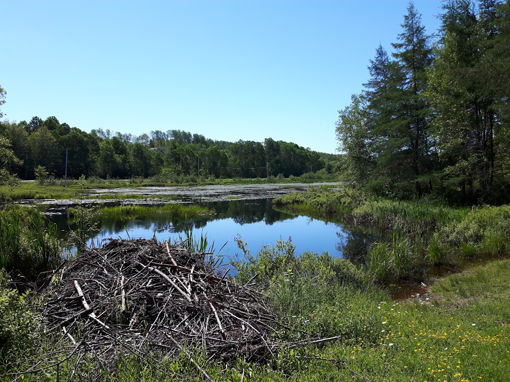 Hants West Wildlife Assn | 596 Bog Rd, Hantsport, NS B0P 1P0, Canada | Phone: (902) 798-3684