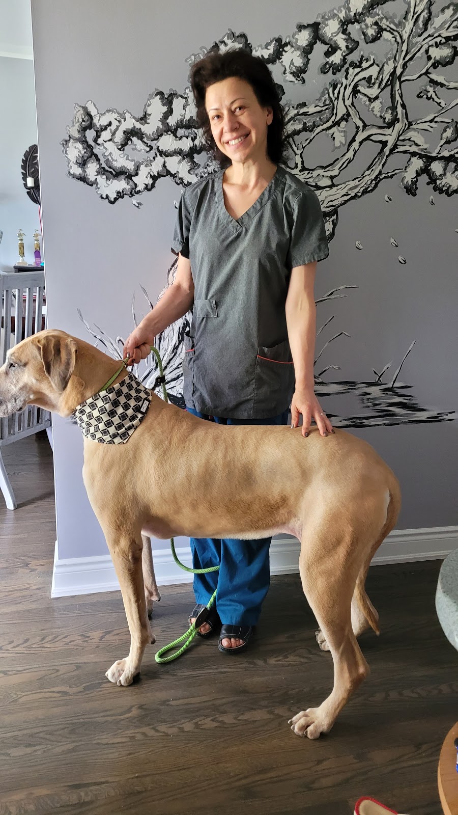 Emilias Pet Grooming & Pet Portraits | 100 Maureen Ave, Welland, ON L3C 4H6, Canada | Phone: (647) 204-0788