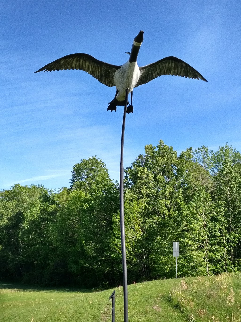 Fleming College | Fleming College Way, Peterborough, ON K9K 2N7, Canada | Phone: (705) 749-5520