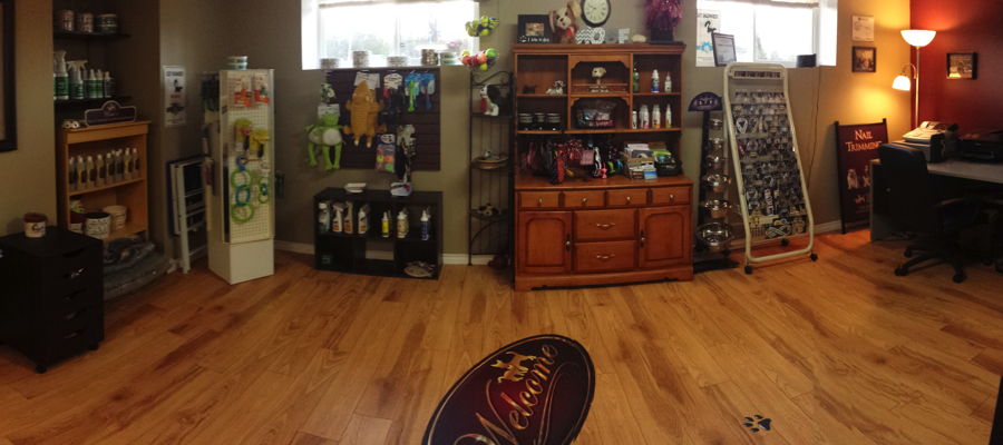 Mimis Pet Grooming | 2242 Foxmead Rd, Coldwater, ON L0K 1E0, Canada | Phone: (705) 238-2397