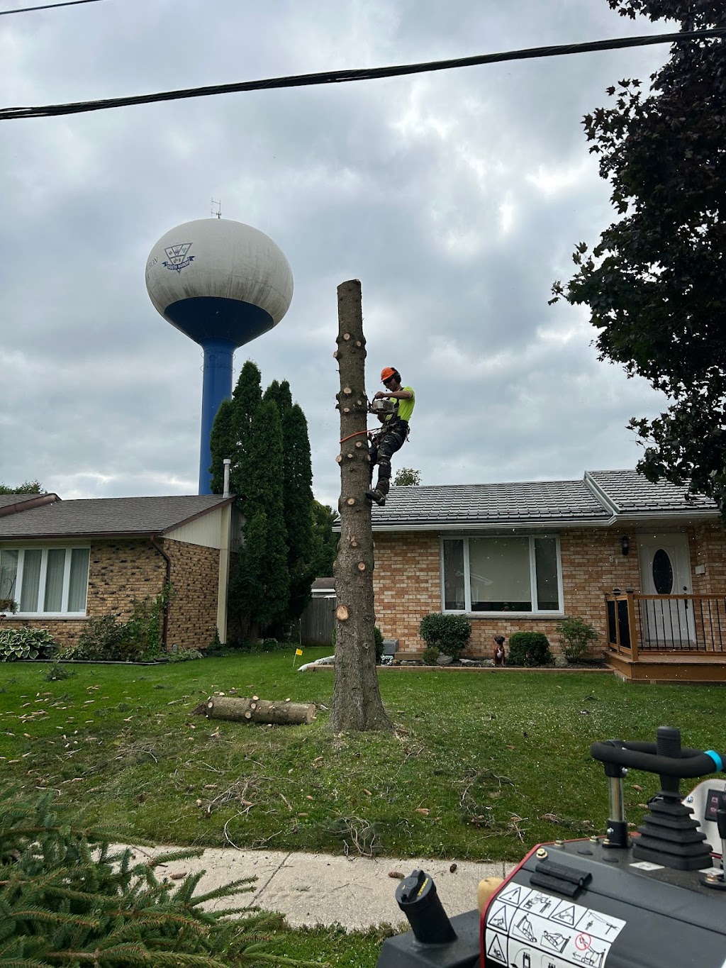 Defender Tree Service Ltd | 40385 Hensall Rd, Hensall, ON N0M 1X0, Canada | Phone: (226) 921-4986