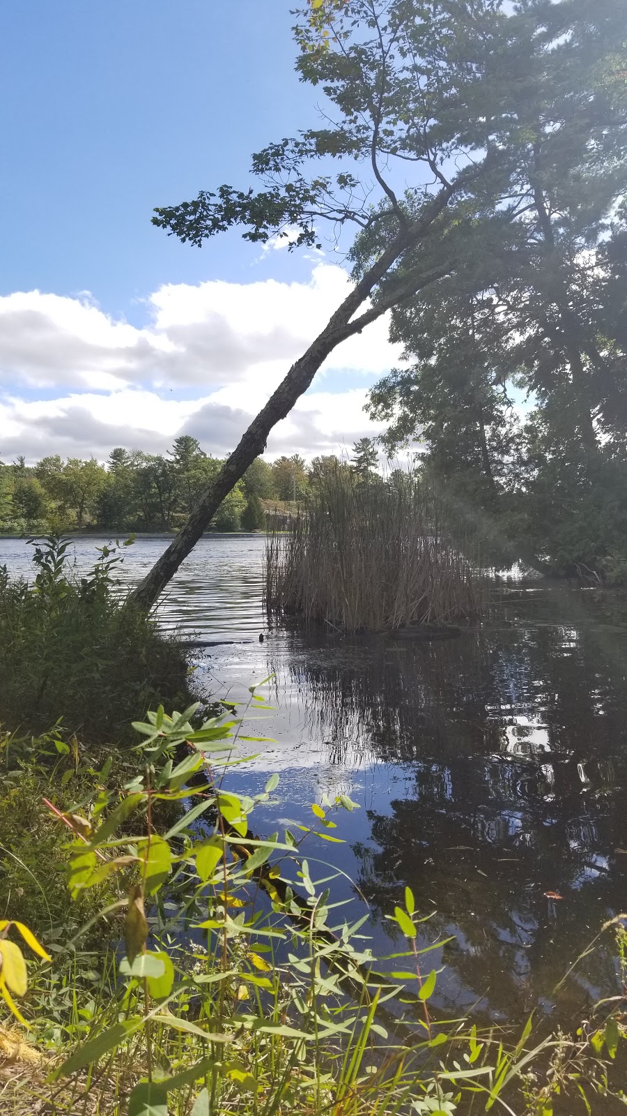 Trent-Severn Waterway, Lock 30 - Lovesick | Peterborough, ON K0L 2H0, Canada | Phone: (705) 654-3561