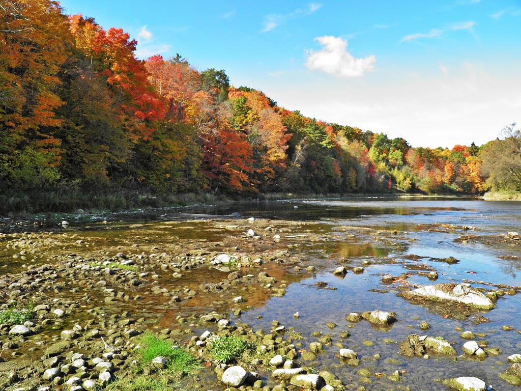 Homer Watson Park | 1094 Wilson Ave, Kitchener, ON N2C 1J3, Canada | Phone: (519) 741-2286