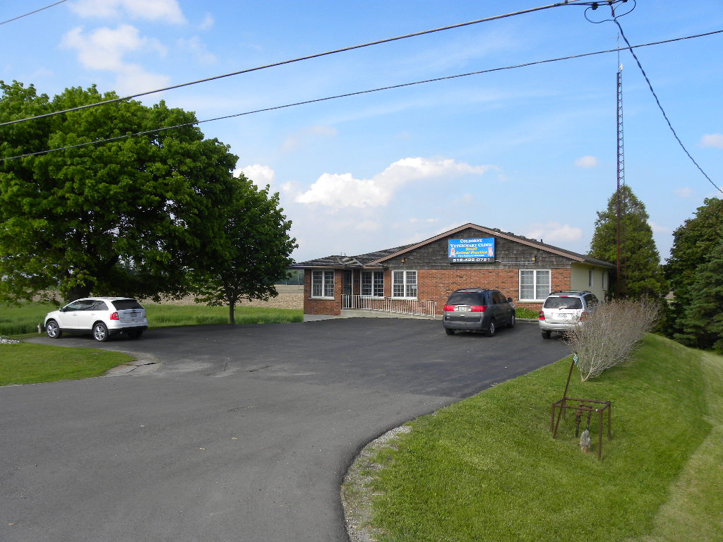 Colborne Veterinary Clinic | 2512 Hwy 24 N, Simcoe, ON N3Y 4K3, Canada | Phone: (519) 428-0721