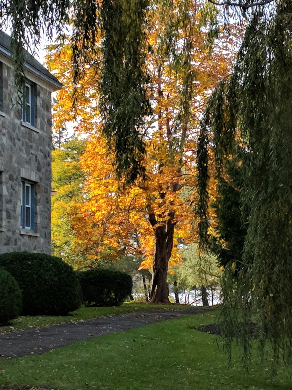 Villa St Martin | 9451 Boul Gouin O, Pierrefonds, QC H8Y 1T2, Canada | Phone: (514) 684-2311