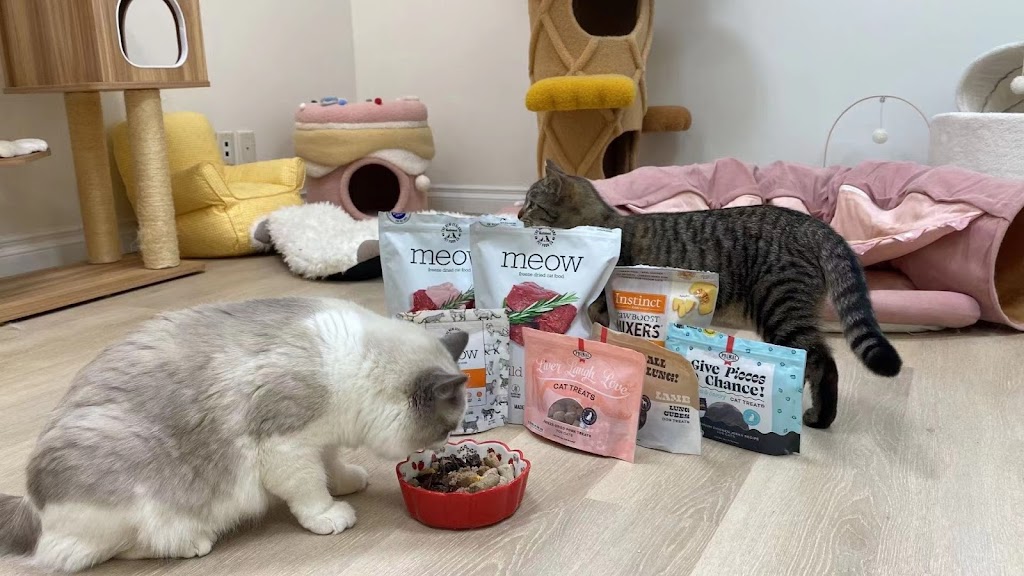 Chubby Meows Cat Hotel | 12285 Yonge St, Richmond Hill, ON L4E 3M7, Canada | Phone: (437) 973-1819
