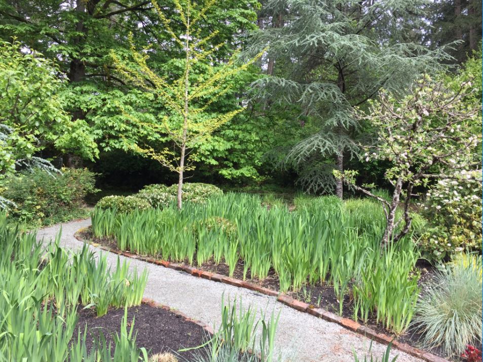 JN Landscaping Ltd. | 11435 Hawthorne Pl, North Saanich, BC V8L 5J7, Canada | Phone: (250) 888-9267