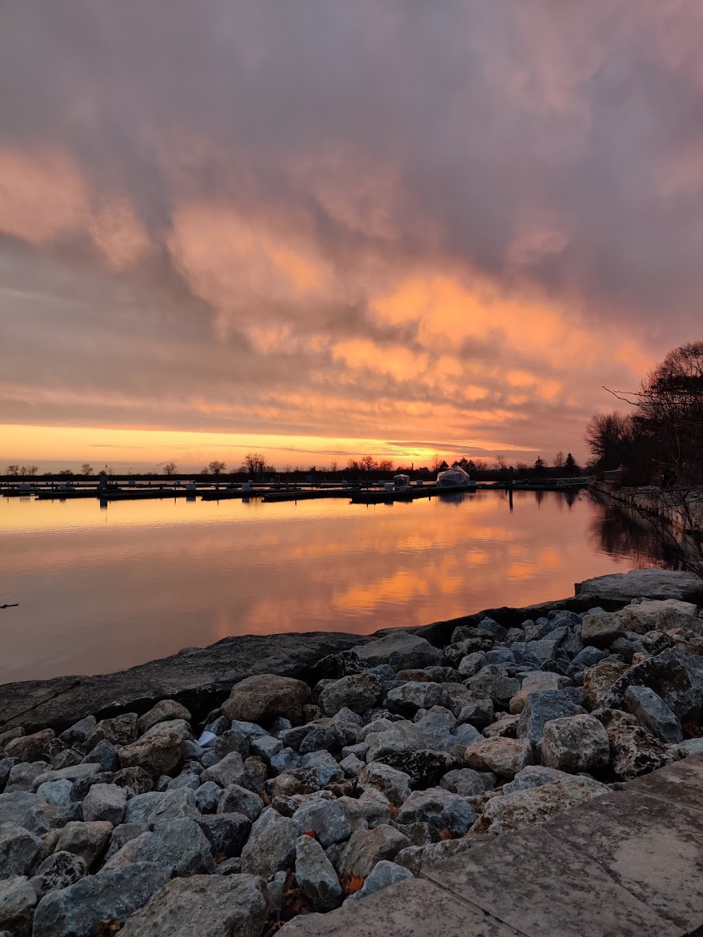 Lakeshore Yacht Club | 76 Colonel Samuel Smith Park Dr, Etobicoke, ON M8V 4B7, Canada | Phone: (416) 255-3701