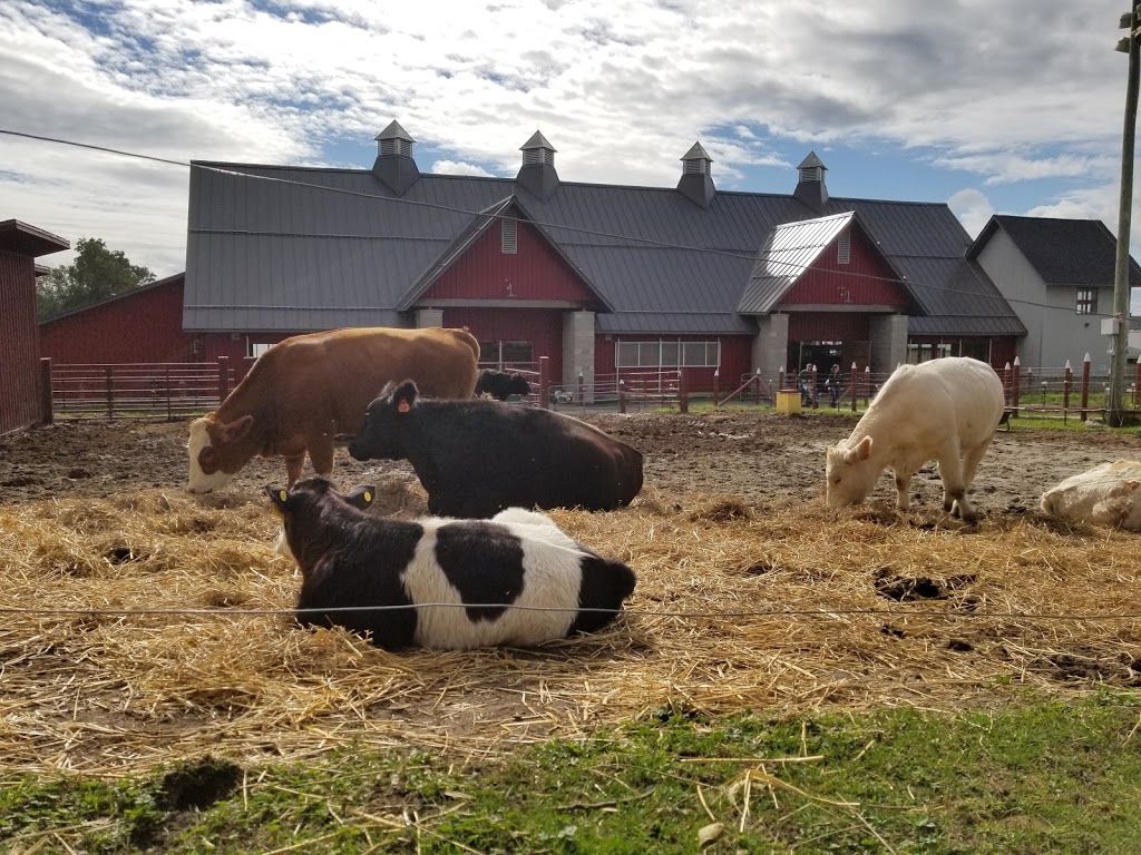 Canada Agriculture and Food Museum | 901 Prince of Wales Dr, Ottawa, ON K2C 3K1, Canada | Phone: (613) 991-3044
