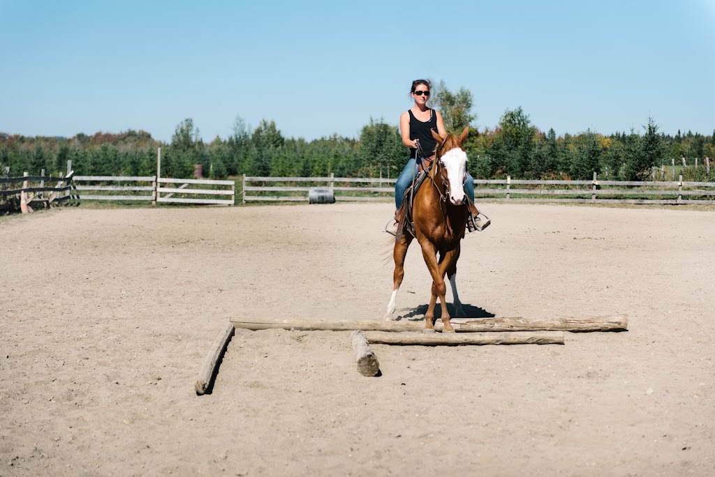Centré-Questre Tandem | 68 QC-143, Hatley, QC J0B 2C0, Canada | Phone: (819) 919-2219