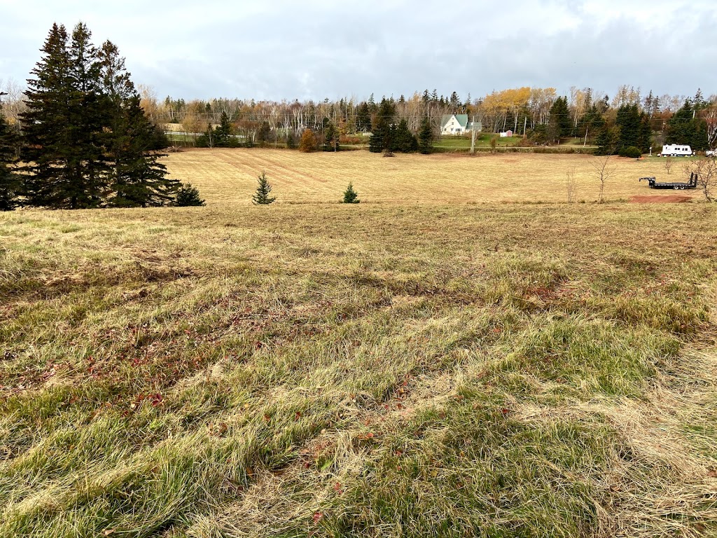 Red Rock Orchards Ltd | 495 Point Prim Rd, Mount Buchanan, PE C0A 1A0, Canada | Phone: (902) 969-3138